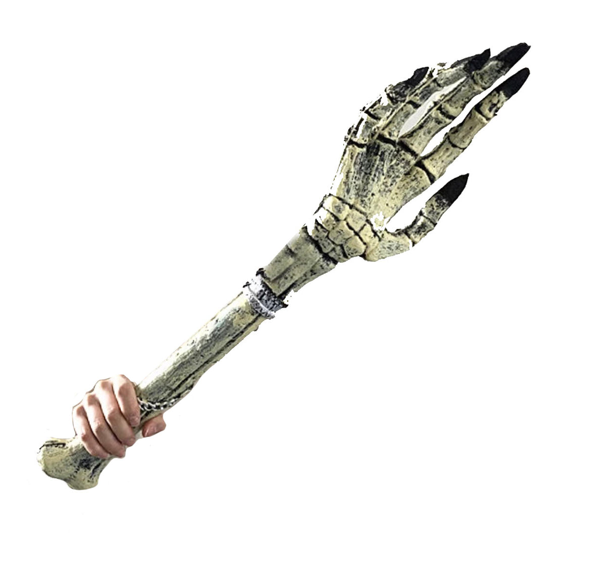 Foam Sekelton Hand Props 26 Inch MATTEO PARTY