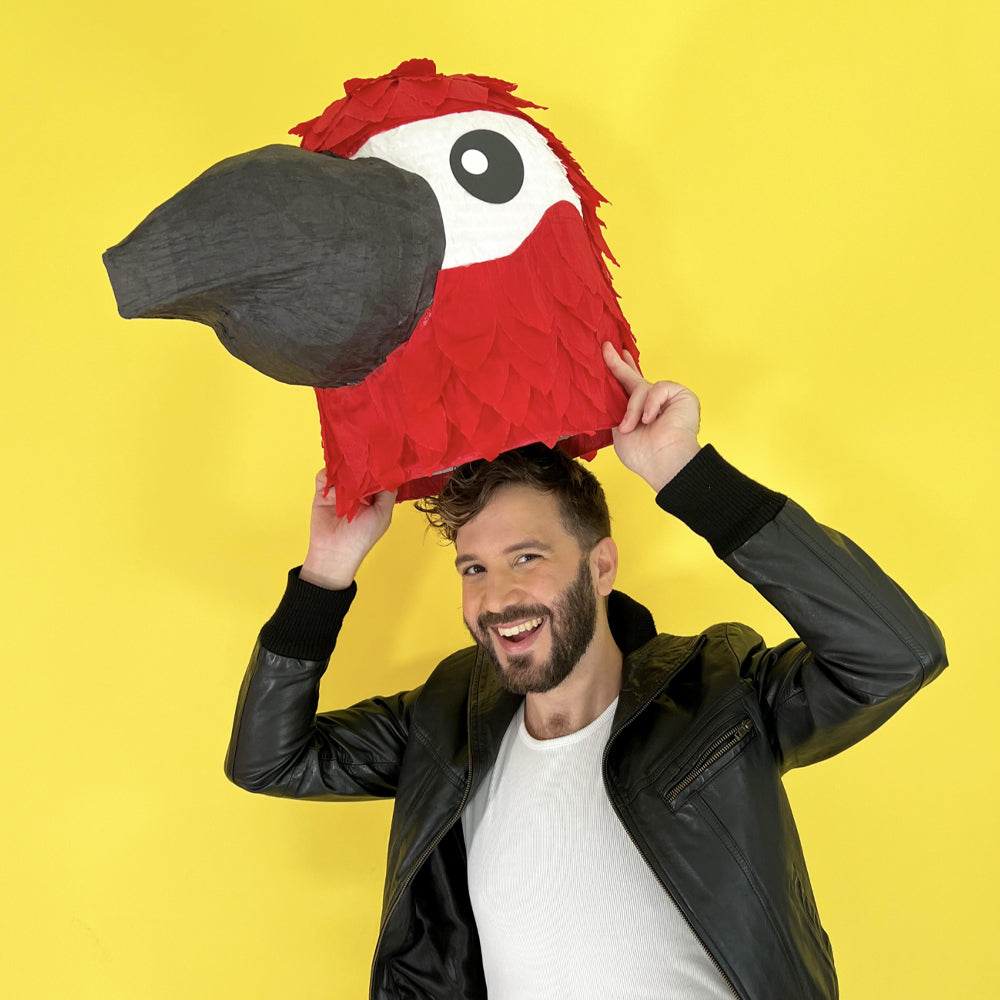Parrot Pinata - Made in HK – MATTEO PARTY